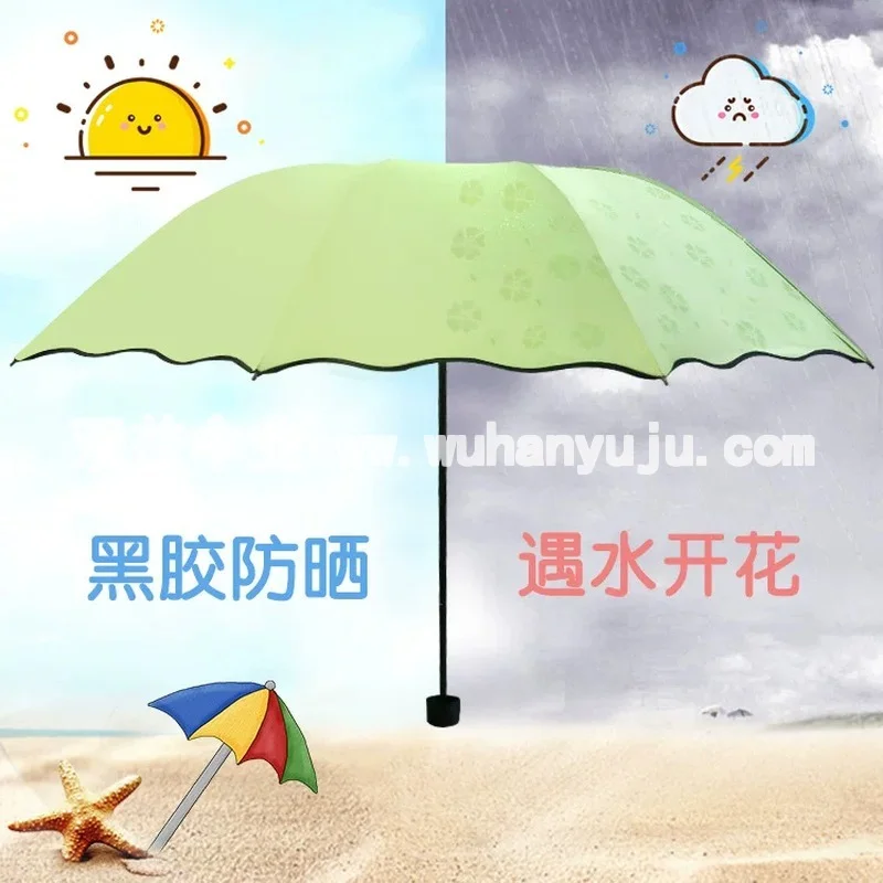 三折雨伞遇水开花晴雨伞黑胶防晒伞三折太阳伞广告伞定制印LOGO伞