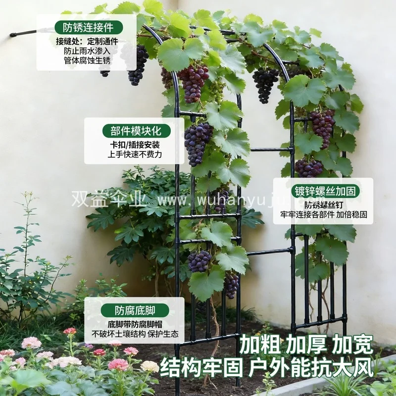 半边靠墙拱门花架葡萄架子户外庭院玫瑰爬藤架蔷薇花攀爬支架藤架