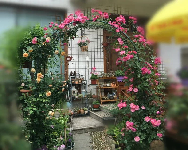 简易铁艺拱门花架月季爬藤架路引架子藤月葡萄丝瓜攀爬加固花支架场景