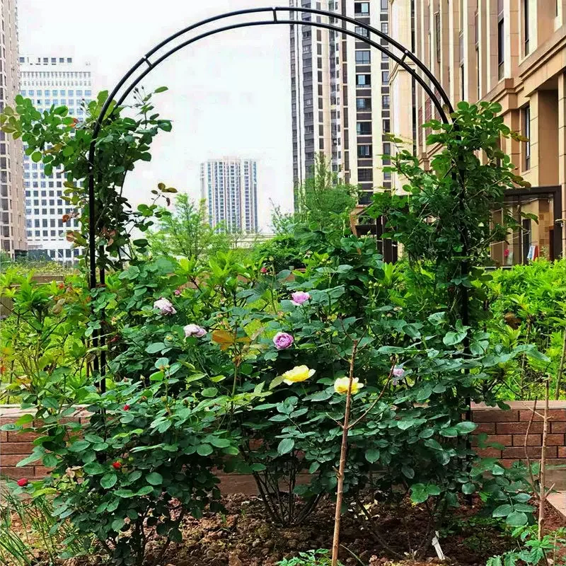 拱门花架爬藤架花园月季花支架铁线莲绿萝植物架户外花门庭院装饰规格